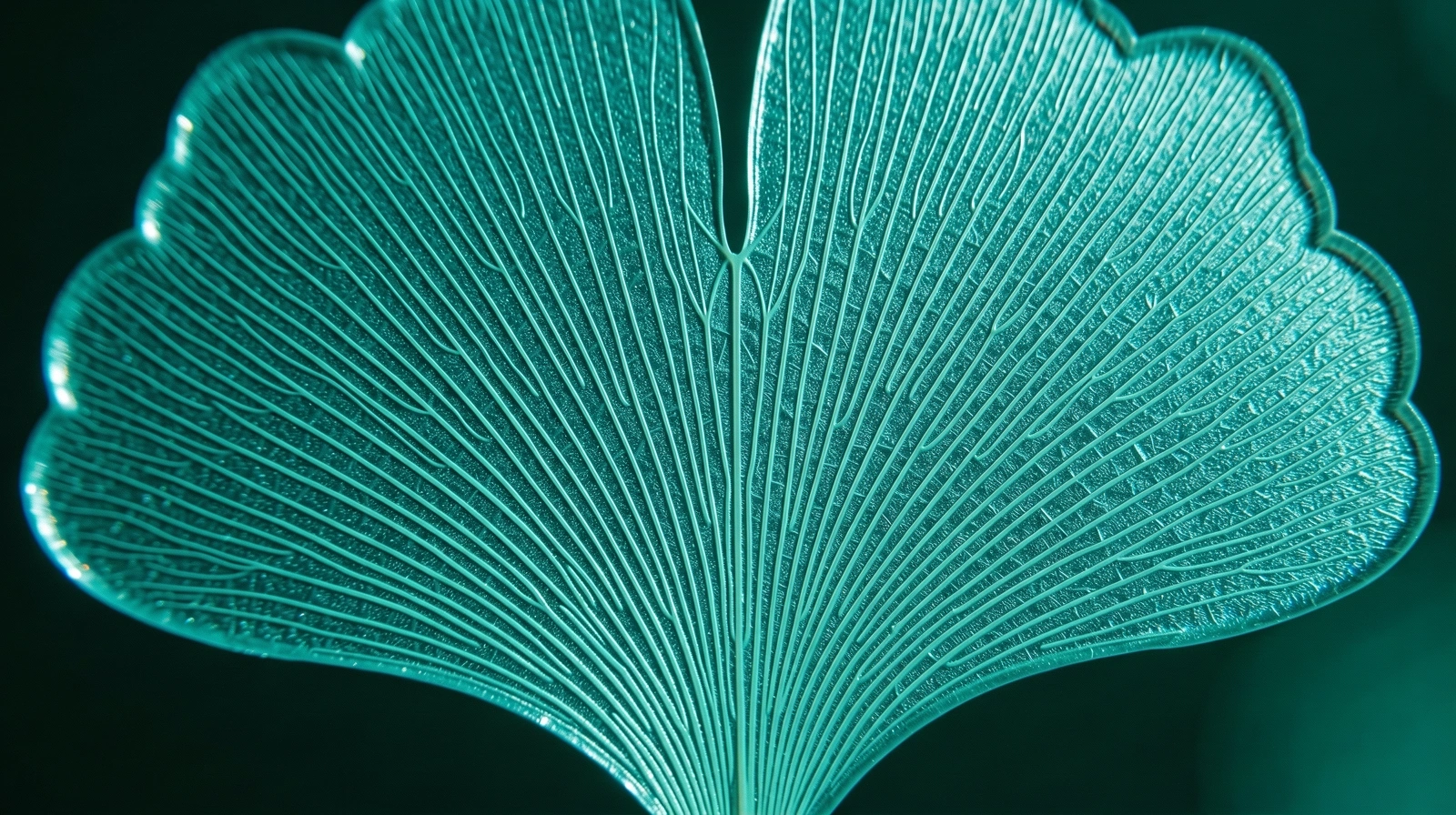 Botanical Structural Macro